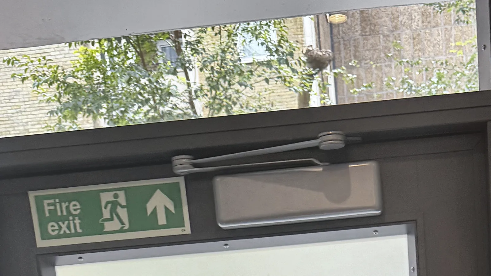 Emergency lighting installation in London: a fire exit sign over an escape door